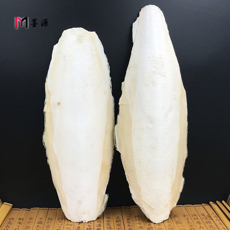 螵蛸500克墨鱼鱼骨一斤大号乌贼骨非野生中药材其他药食同源食品