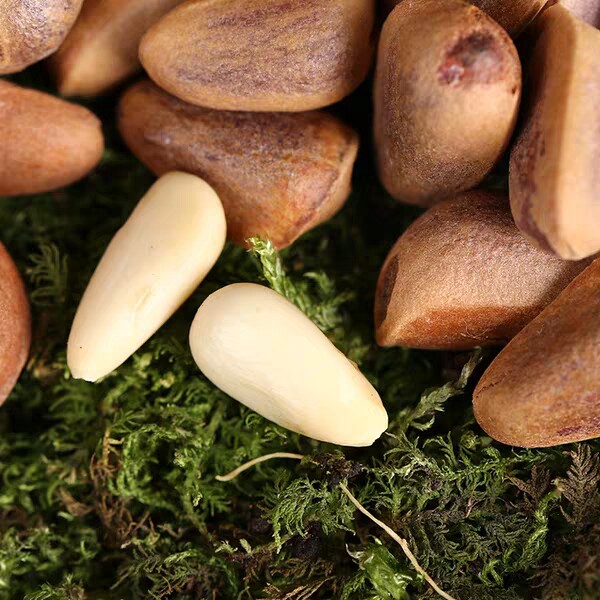 东北大小兴安岭特产红松坚果现炒开口松子年货松子