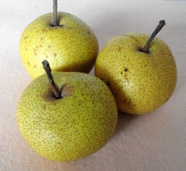 新货中国大陆特产迁西农家家安酸梨新鲜晒干梨