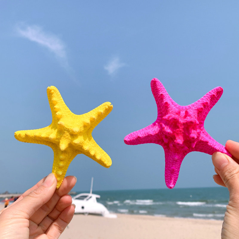 天然海星 大霸王海星 彩色海星海边小礼物家居地台贴墙装饰品摆件