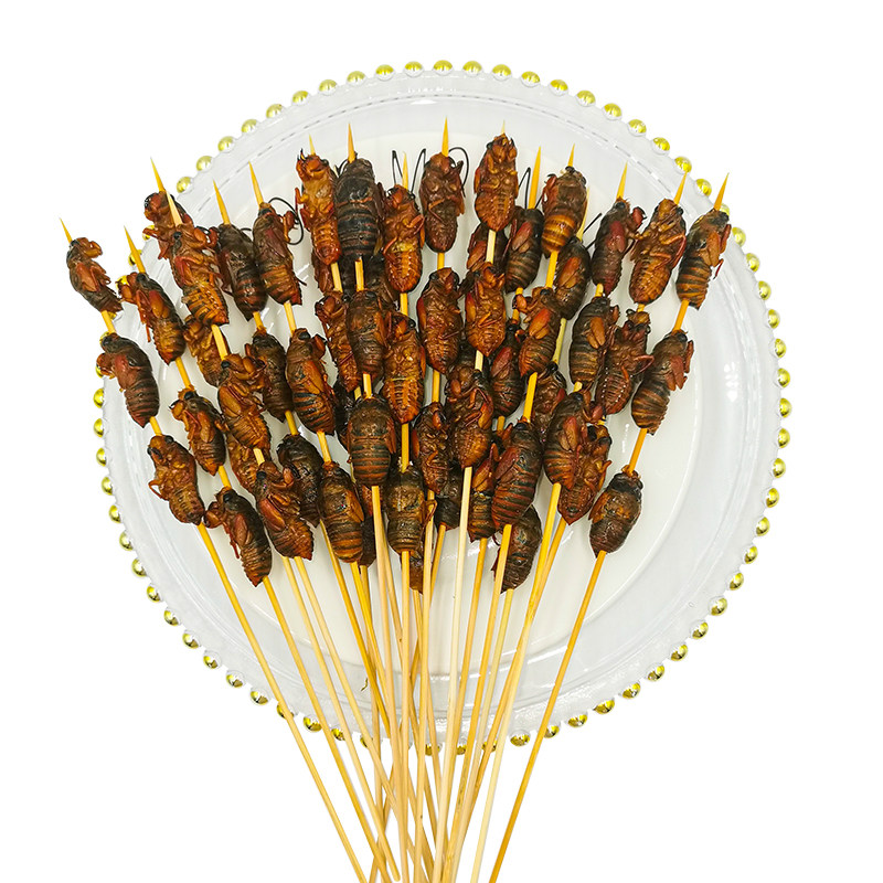 金蝉知了猴串烧烤油炸新鲜野生活体冷冻昆虫其它生肉制品