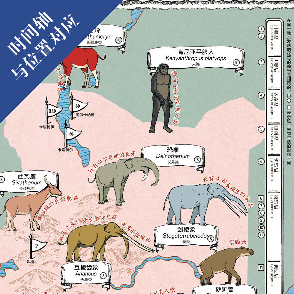 当当网正版童书世界恐龙地图