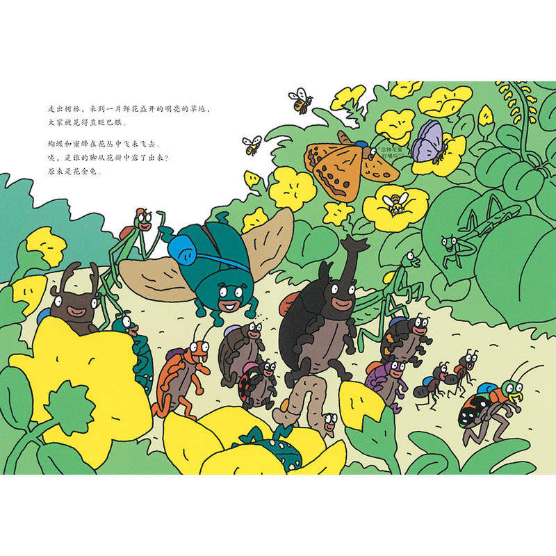 昆虫智趣趣园捉迷藏趣味科学颜色形态拟态特征绘本