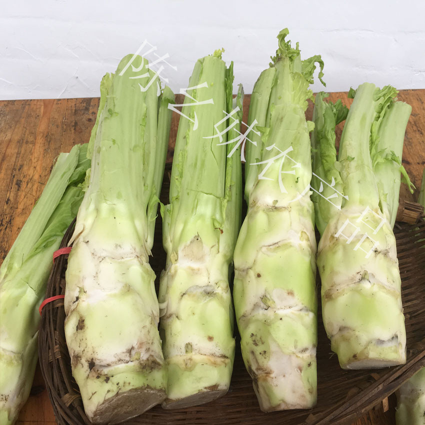 新鲜棒棒菜棒青笋芥菜笋子芥青菜头脑壳菜菜脑壳应季蔬菜5斤包邮