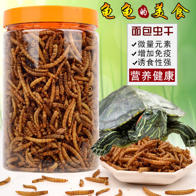 Turtle food turtle feed Brazilian turtle Tortoise food semi-water turtle grain shrimp dry young turtle 赏赏 专用 小 龟 Turtle food turtle feed Brazilian turtle Tortoise food semi-water turtle grain shrimp dry young turtle 赏赏 专用 小 龟