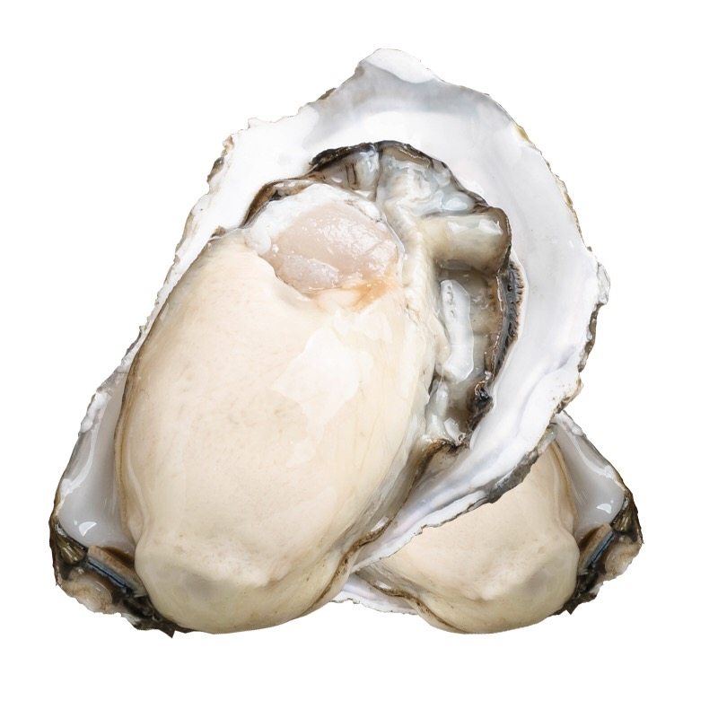 鲜活乳山生蚝新鲜带壳牡蛎特大肥蚝大海烧烤生蚝
