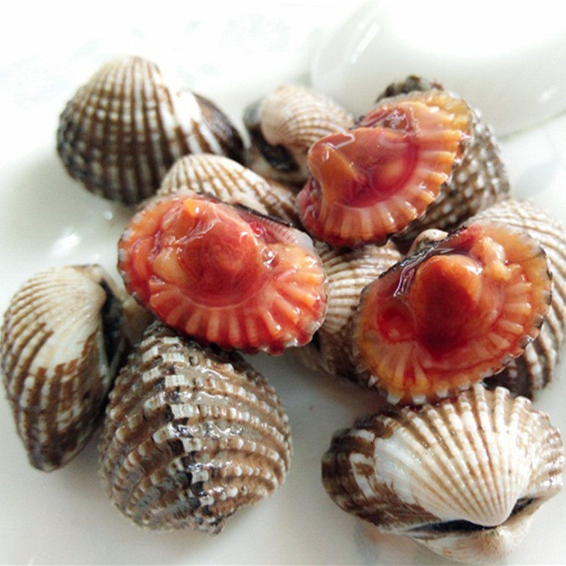 现挖现发血蛤蜊新鲜雪蛤正宗血蚶冲洗干净发货可生腌制3斤装