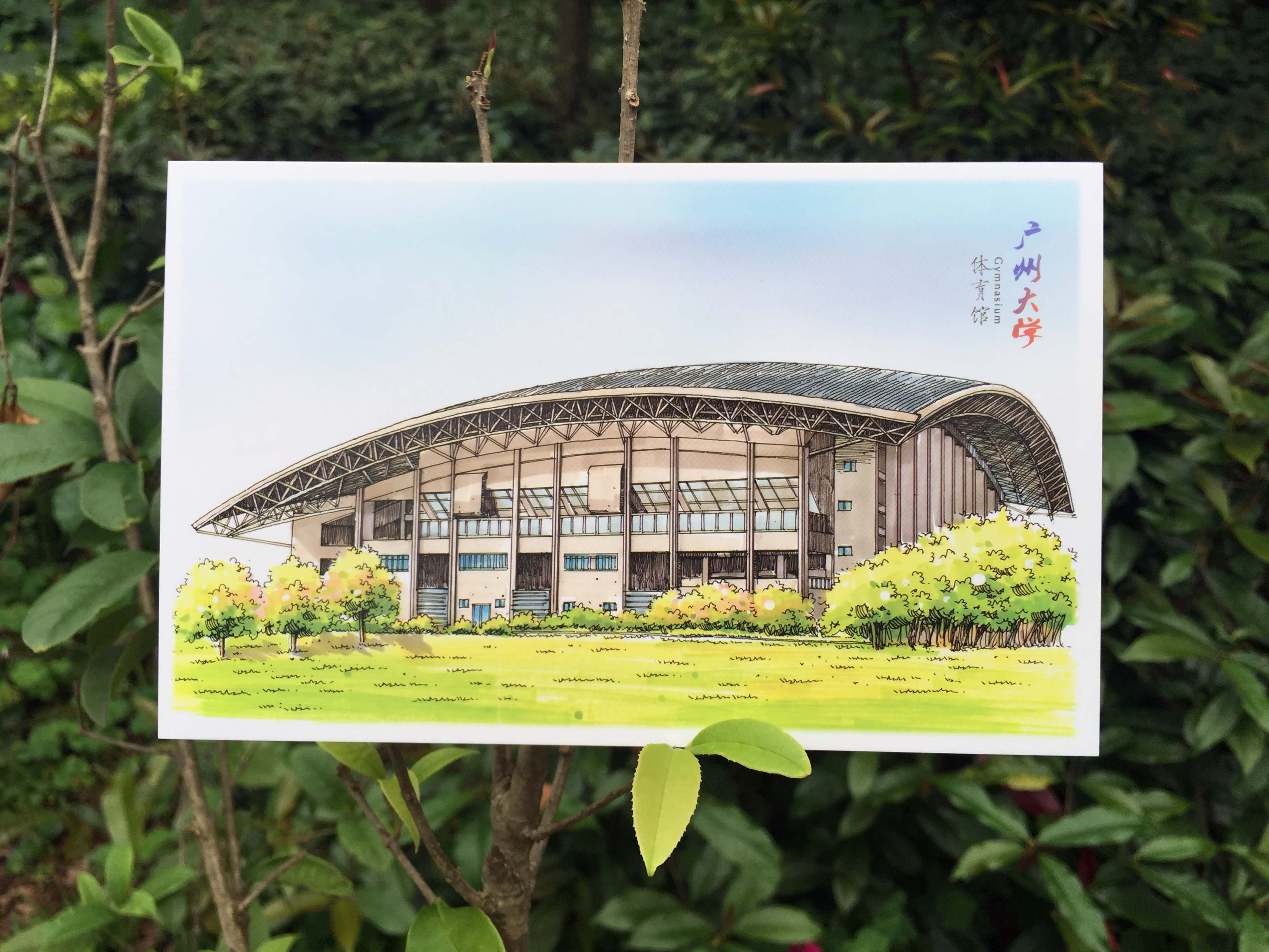 广州大学手绘明信片校园风景特色贺卡同学老师新年礼物贺卡