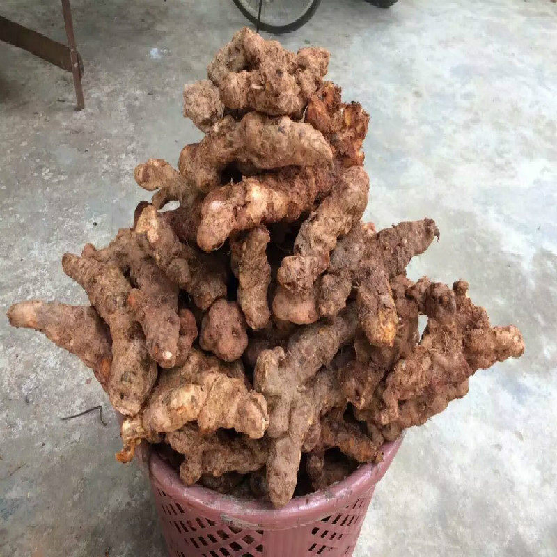 深山野生土茯苓光叶菝葜山遗粮毛尾薯药食同源煲汤1000g