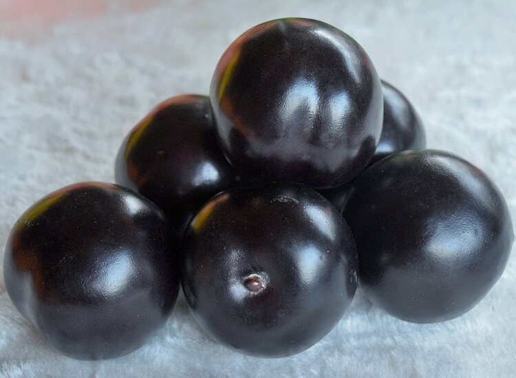 仿真李子水果蔬菜黑布林模型家居装饰摆件玩具批发仿真水果