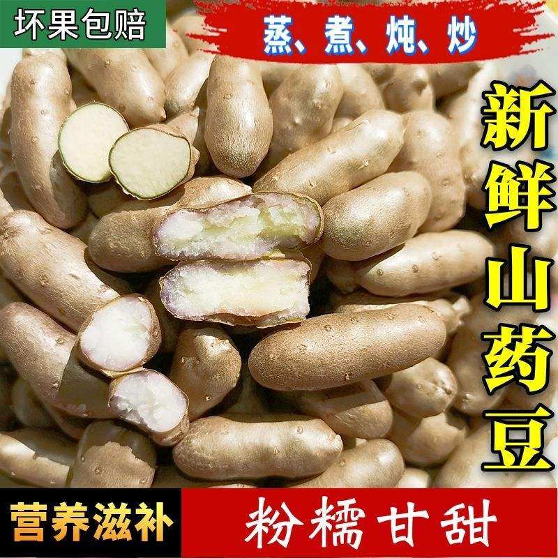 山药新鲜小白5斤小豆正宗山药蛋种子糖葫芦铁棍新鲜山药