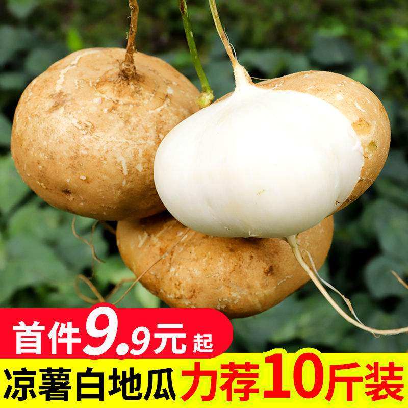 凉薯云南土瓜番薯特产农家萝卜葛地南沙地瓜其它