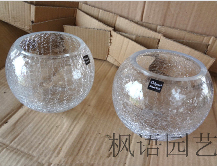 碎冰冰花圆球球形透明明水玻璃缸玻璃花盆器皿花瓶