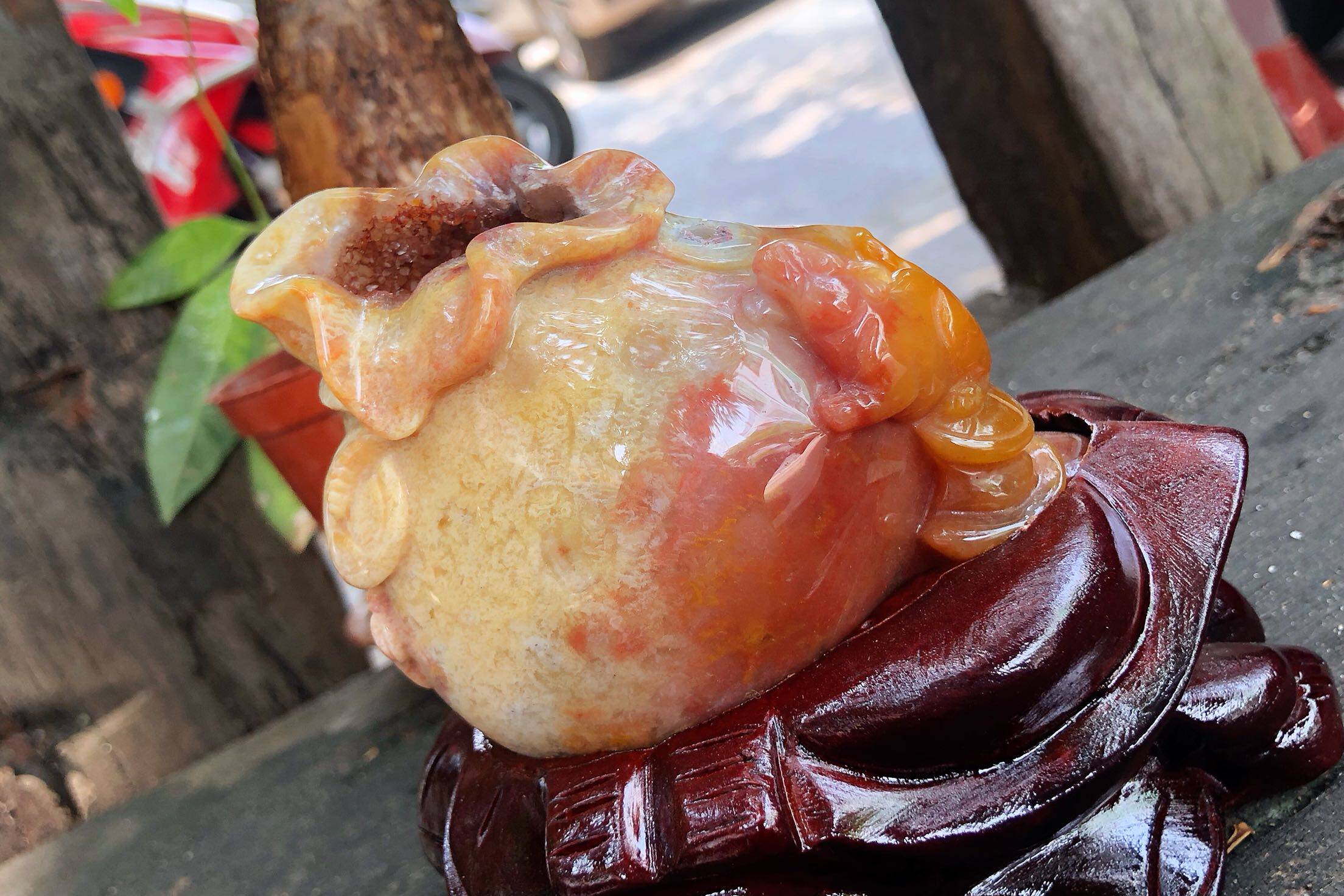 一博海底奇宝天然珊瑚玉老紫红色大花彩花玉化摆件