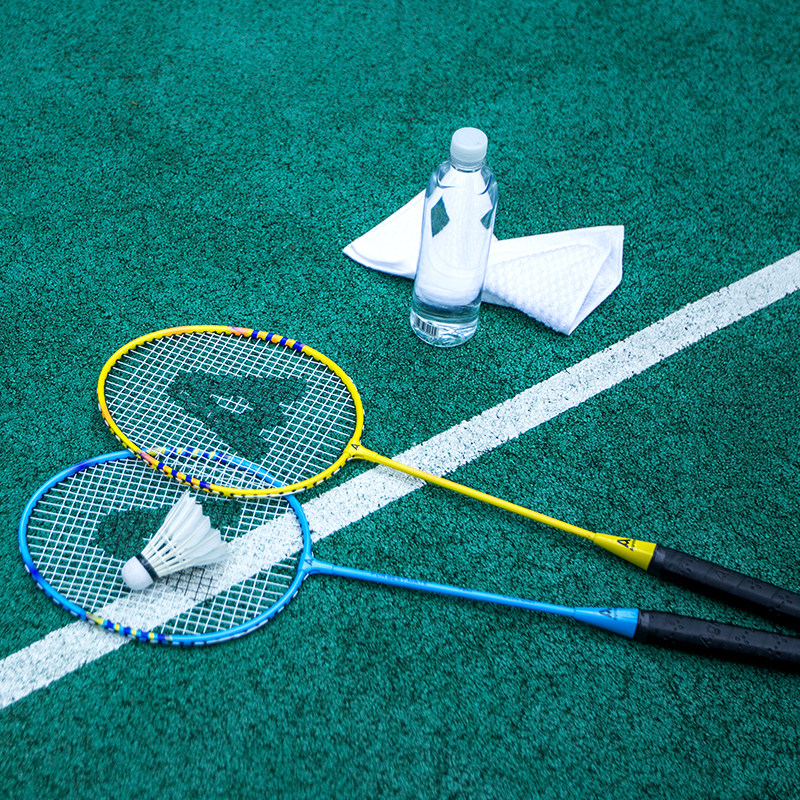 得力安格耐特f2101羽毛球拍双拍进攻型送球健身双打羽毛球拍