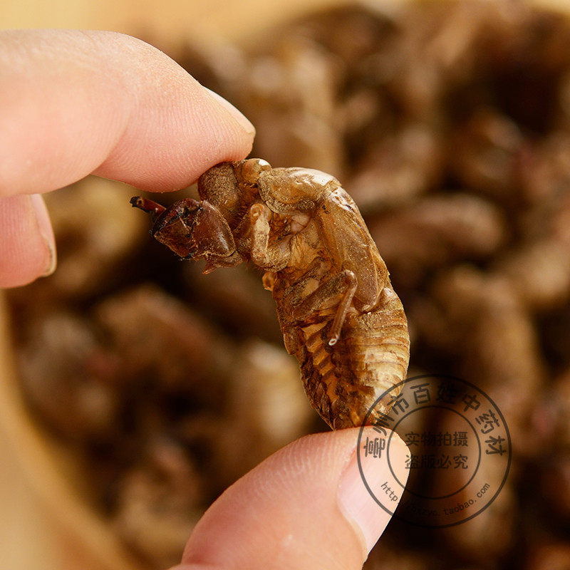 蝉蜕中药材虫蜕水洗蝉衣虫退蝉壳知了散装100g其他药食同源食品