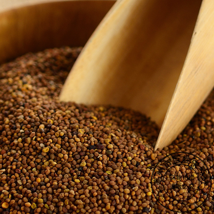 中药材 野生特级菟丝子 正品男性持久茶另有淫羊藿茶非同仁堂500g