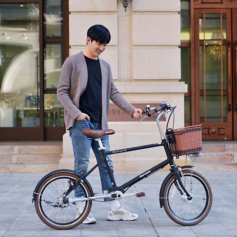 日本丸石袋鼠链条传动三速自行车新型省力学生男女旅行自行车