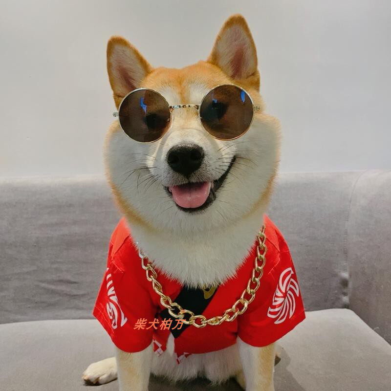 万同款柴大金链子金丝眼镜潮流墨镜潮牌宠物狗宠物服装