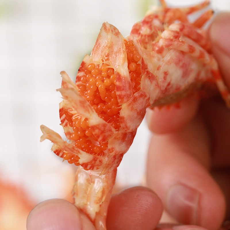 进口格陵兰野生俄罗斯小虾火龙龙虾小龙虾熟冻带籽冻虾