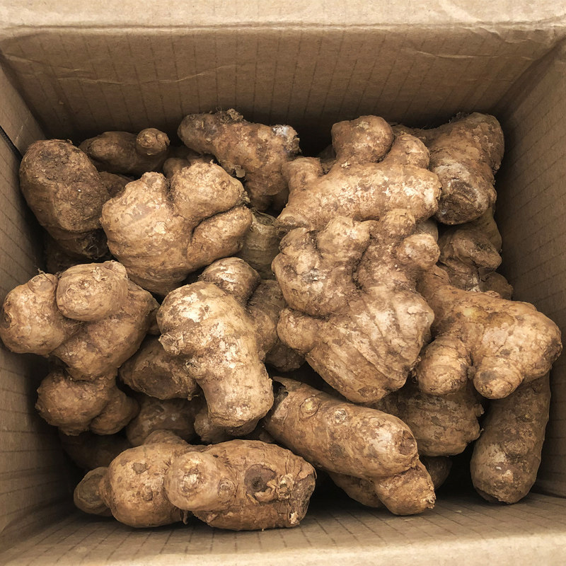 新鲜黄姜生姜云南小黄10斤碎姜小姜包邮新姜土姜生姜