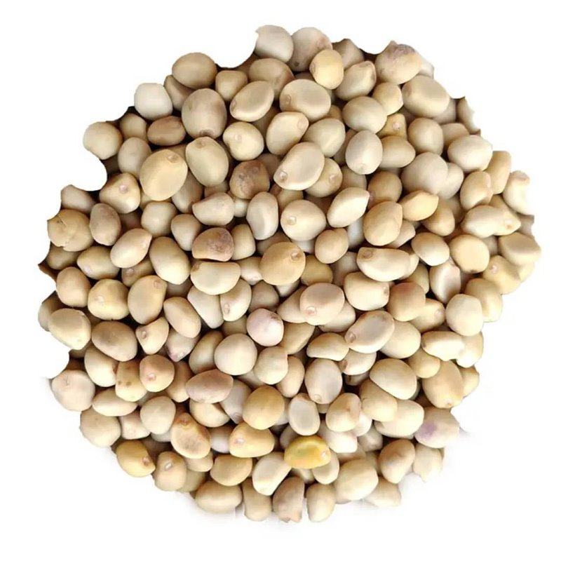 中药材金丝葫芦250g野生拐子小偷华佗豆种种子其他药食同源食品