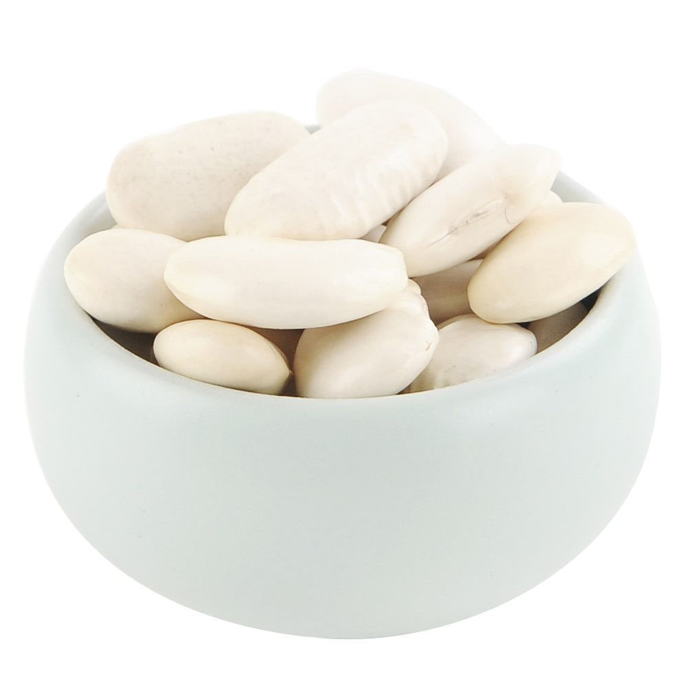 两袋包邮四川汉源高山农家特产白芸豆 云豆大白豆 雪豆菜豆500g