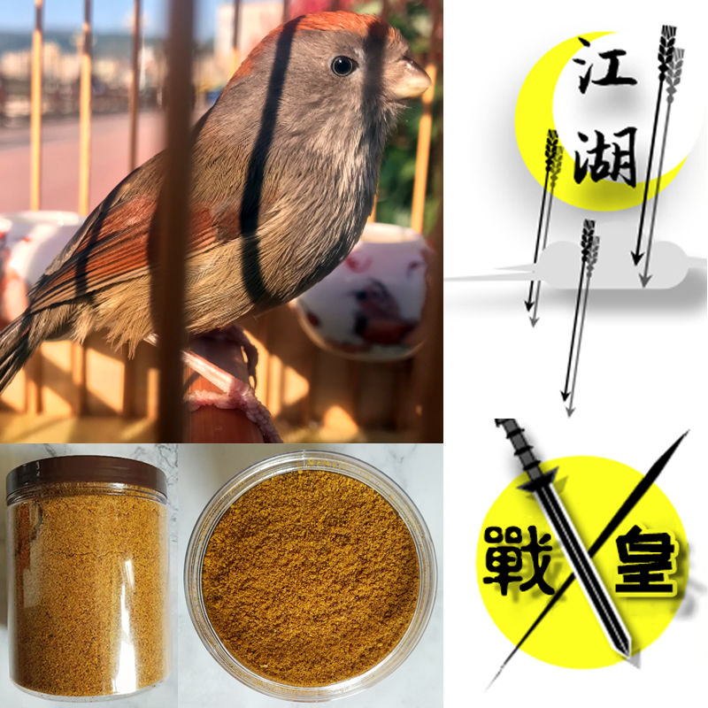 黄豆鸟鸟食饲料黄雀黄腾小黄鸟贵州凯里配方黄斗专用