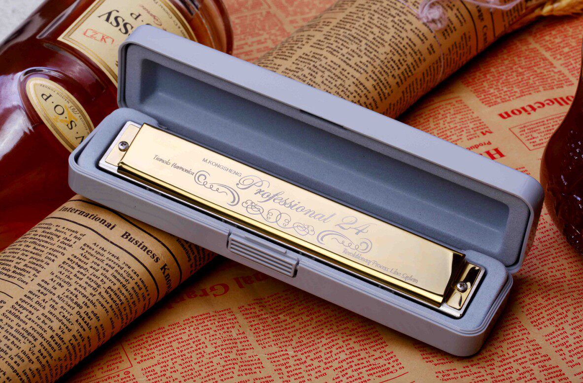 口琴孔声24孔复音儿童成人初学演奏包邮铃木口琴