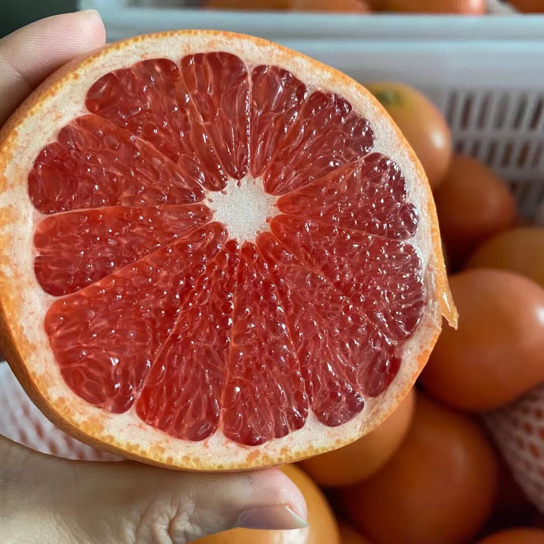 西柚葡萄柚新鲜红心大果孕妇柚子薄汁包邮西柚