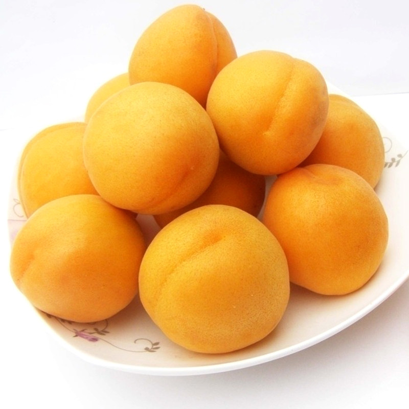 净重五斤山西金太阳黄杏