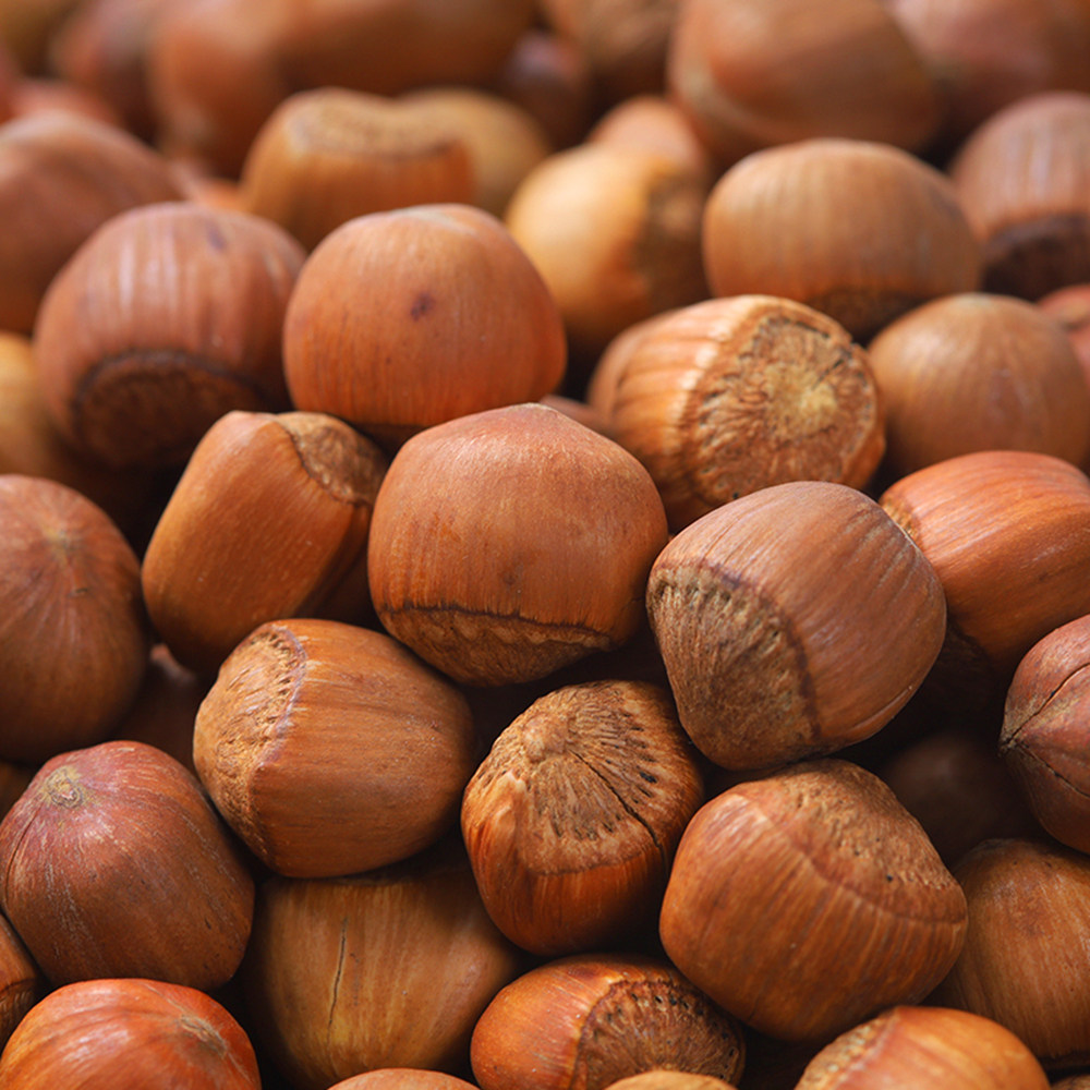 榛子长白山铁岭开原熟山新货东北小榛原味孕妇榛子