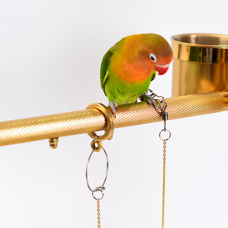 鹦鹉土豪不锈钢站架架子大中小型挂立两用质量鸟笼