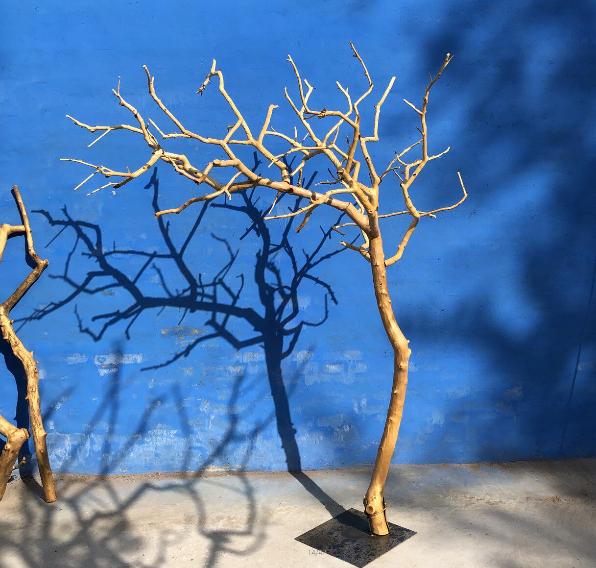 树枝干枝树干白色许愿摆件枯树实木天然造型仿真绿植