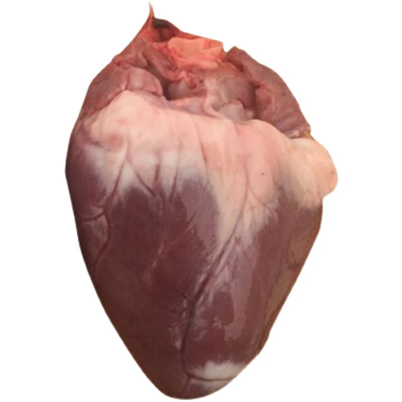新鲜冷冻羊心2斤生羊心脏现切清真内蒙羔羊生羊肉