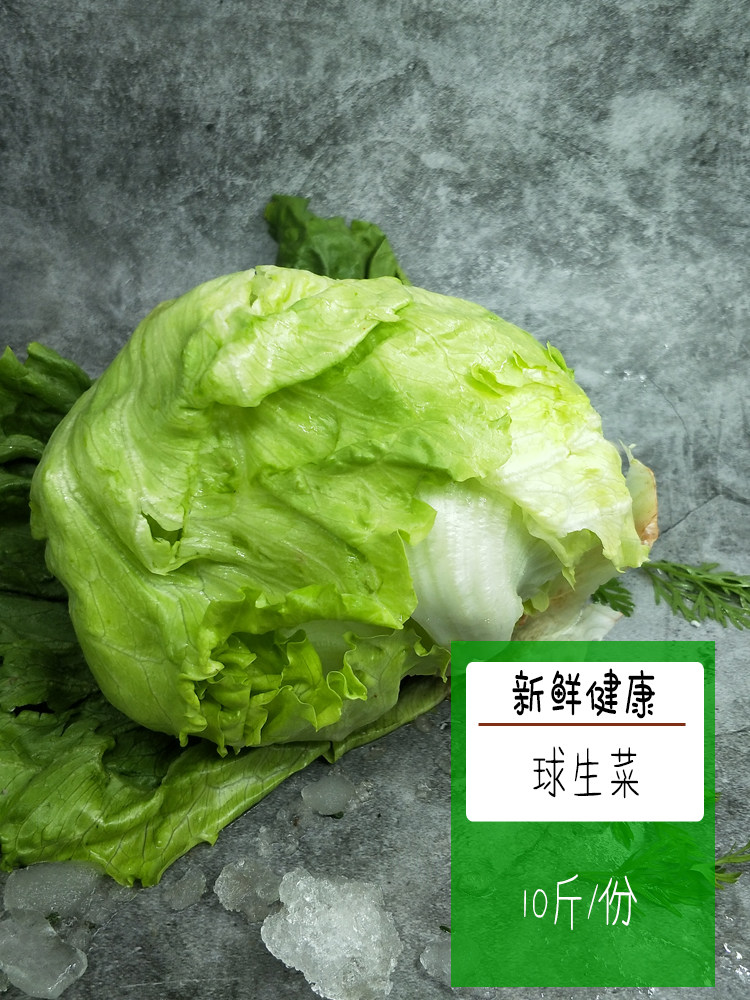 生菜新鲜蔬菜沙拉菜球西餐色拉煎饼10斤餐饮其它