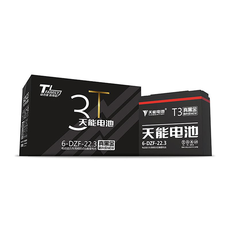 3a大容量电瓶车电瓶换新电动车电池