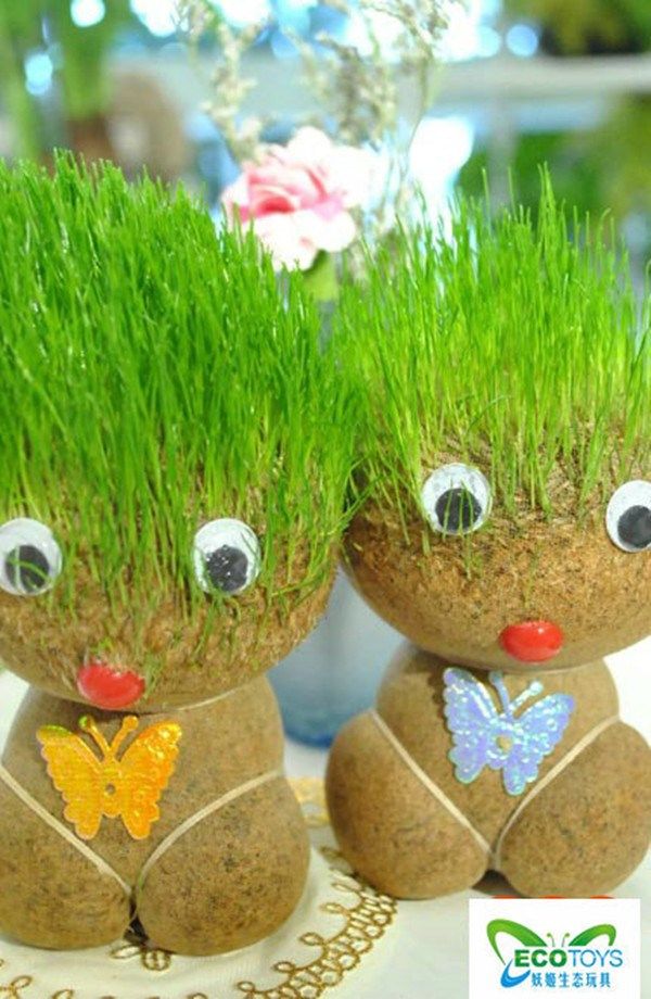 长草植物娃娃头上盆栽浇水草头娃草头种籽小花农创意迷你植物