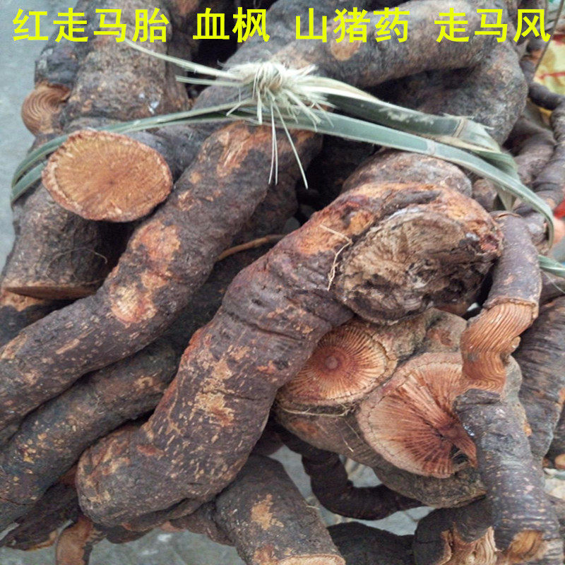 野生中药材红走马胎 血枫 山猪药 走马风 大发药 九丝马 500克