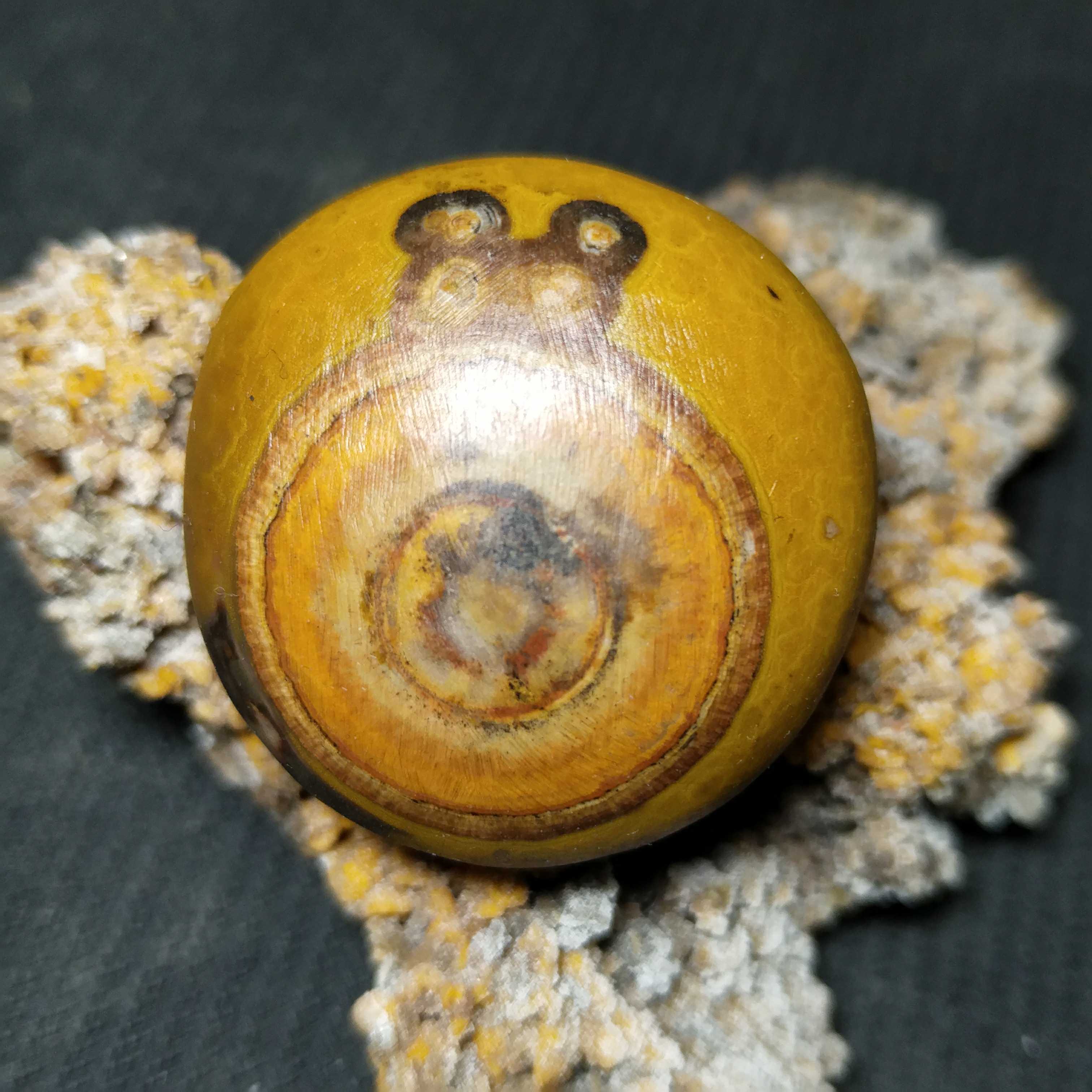 天然象形蜗牛安居乐业战国玛瑙天眼偏珠挂坠配坠项坠