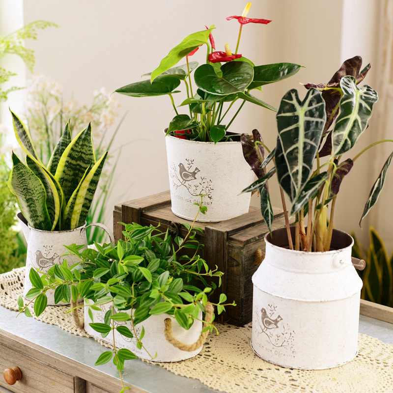 花盆铁皮复古田园做旧干花花花桶多花店插花花盆