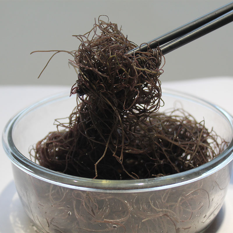 龙须菜海发发菜干货250克海菜海藻海草凉拌火锅海带