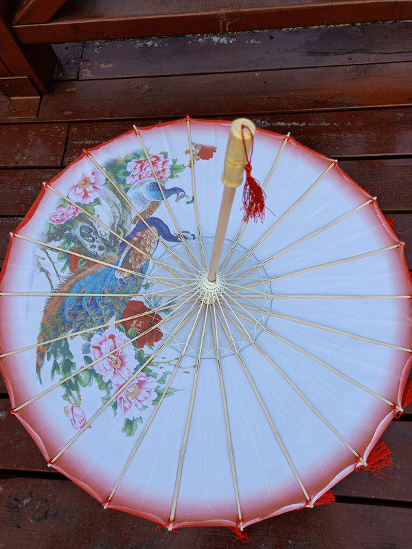 古装古风流苏舞蹈中国国风拍照摄影汉服飘带工艺伞