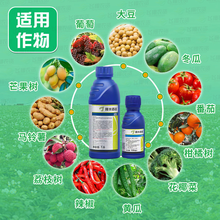 先正达阿米西达嘧菌番茄葡萄霉病疫病白粉杀菌剂杀菌剂