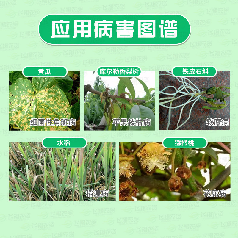新农碧锐春雷霉素噻唑果蔬细菌性病害稻瘟病软腐杀菌剂