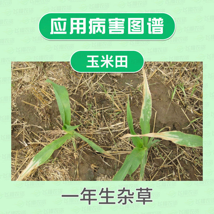 德国巴斯夫苞卫30苯唑草酮糯玉米甜玉米地苗后杂草除草剂10ml