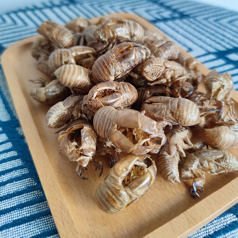 知了野生蝉蜕金蝉衣爬猴自采蝉壳秋百草中药材其他药食同源食品