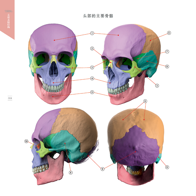 艺用表情结构 乌迪斯 贵哥黄朝贵新书 全彩3d透视三维