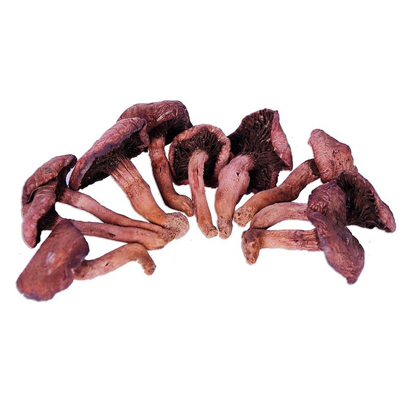 21年秋东北辽宁朝阳深山纯天然野生红蘑菇实心红蘑土特产干货半斤