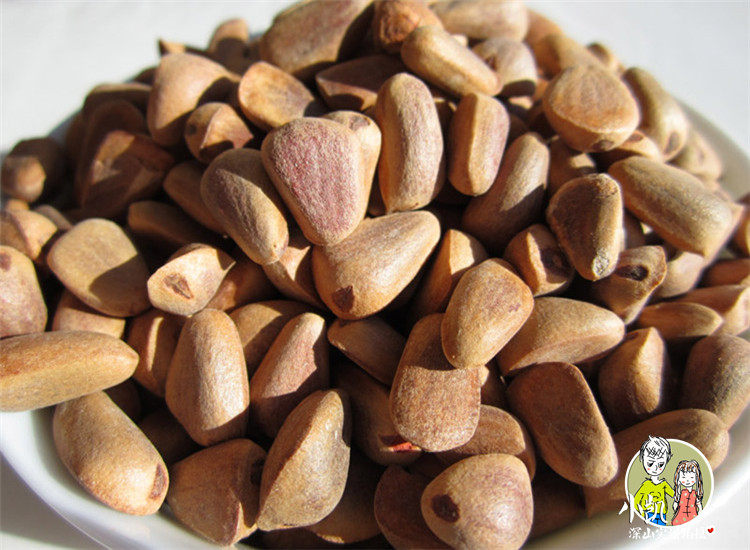 东北特产黑龙江伊春野生松子散货1斤装红松子仁新货坚果500g包邮